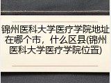 锦州医科大学医疗学院地址在哪个市，什么区县(锦州医科大学医疗学院位置)