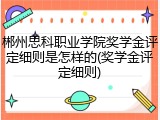 郴州思科职业学院奖学金评定细则是怎样的(奖学金评定细则)