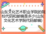 山东文化艺术职业学院的院校代码和邮编是多少(山东文化艺术学院代码邮编)