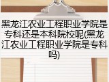 黑龙江农业工程职业学院是专科还是本科院校呢(黑龙江农业工程职业学院是专科吗)