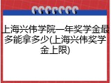 上海兴伟学院一年奖学金最多能拿多少(上海兴伟奖学金上限)