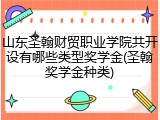 山东圣翰财贸职业学院共开设有哪些类型奖学金(圣翰奖学金种类)