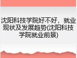 沈阳科技学院好不好，就业现状及发展趋势(沈阳科技学院就业前景)