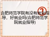 合肥师范学院有没有就业指导，好就业吗(合肥师范学院就业指导)