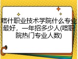 喀什职业技术学院什么专业最好，一年招多少人(喀职院热门专业人数)