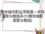南京城市职业学院是一本吗录取分数线多少(南京城职录取分数线)