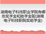 湖南电子科技职业学院有哪些奖学金和助学金呢(湖南电子科技职院奖助学金)