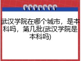 武汉学院在哪个城市，是本科吗，第几批(武汉学院是本科吗)