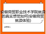 安徽商贸职业技术学院就读的真实感觉如何(安徽商贸就读体验)
