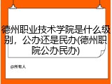 德州职业技术学院是什么级别，公办还是民办(德州职院公办民办)