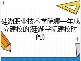 硅湖职业技术学院哪一年成立建校的(硅湖学院建校时间)