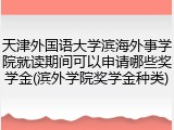 天津外国语大学滨海外事学院就读期间可以申请哪些奖学金(滨外学院奖学金种类)