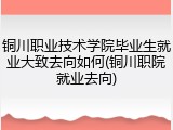 铜川职业技术学院毕业生就业大致去向如何(铜川职院就业去向)