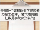 贵州铜仁数据职业学院师资力量怎么样，名气如何(铜仁数据学院师资名气)
