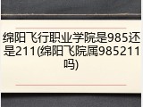 绵阳飞行职业学院是985还是211(绵阳飞院属985211吗)