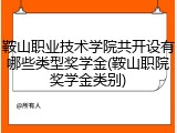 鞍山职业技术学院共开设有哪些类型奖学金(鞍山职院奖学金类别)