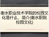 衡水职业技术学院的校园文化是什么，简介(衡水职院校园文化)