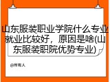 山东服装职业学院什么专业就业比较好，原因是啥(山东服装职院优势专业)