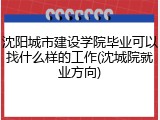沈阳城市建设学院毕业可以找什么样的工作(沈城院就业方向)