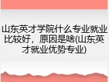 山东英才学院什么专业就业比较好，原因是啥(山东英才就业优势专业)