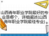 山西青年职业学院最好的专业是哪个，详细阐述(山西青年职业学院最佳专业)