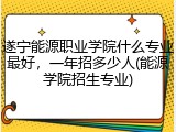 遂宁能源职业学院什么专业最好，一年招多少人(能源学院招生专业)