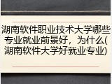 湖南软件职业技术大学哪些专业就业前景好，为什么(湖南软件大学好就业专业)