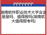湖南软件职业技术大学含金量量吗，值得报吗(湖南软大值得报考吗)