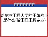 哈尔滨工程大学的王牌专业是什么(哈工程王牌专业)