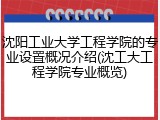 沈阳工业大学工程学院的专业设置概况介绍(沈工大工程学院专业概览)