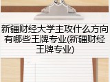 新疆财经大学主攻什么方向有哪些王牌专业(新疆财经王牌专业)