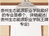 贵州生态能源职业学院最好的专业是哪个，详细阐述(贵州生态能源职业学院王牌专业)