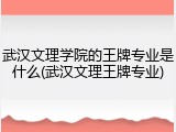 武汉文理学院的王牌专业是什么(武汉文理王牌专业)