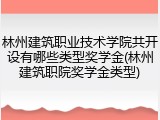 林州建筑职业技术学院共开设有哪些类型奖学金(林州建筑职院奖学金类型)