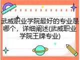 武威职业学院最好的专业是哪个，详细阐述(武威职业学院王牌专业)