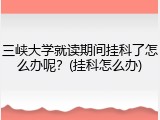 三峡大学就读期间挂科了怎么办呢？(挂科怎么办)