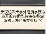 武汉纺织大学外经贸学院专业开设有哪些,特色在哪(武汉纺大外经贸专业特色)