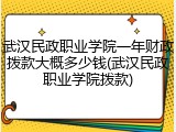 武汉民政职业学院一年财政拨款大概多少钱(武汉民政职业学院拨款)