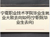 宁夏职业技术学院毕业生就业大致去向如何(宁职院毕业生去向)