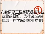 安徽信息工程学院哪些专业就业前景好，为什么(安徽信息工程学院好就业专业)