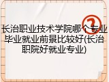 长治职业技术学院哪个专业毕业就业前景比较好(长治职院好就业专业)