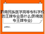 黔南民族医学高等专科学校的王牌专业是什么(黔南医专王牌专业)