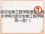 武汉生物工程学院是双一流大学吗?(武汉生物工程学院双一流？)