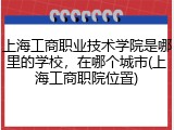 上海工商职业技术学院是哪里的学校，在哪个城市(上海工商职院位置)