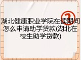 湖北健康职业学院在读期间怎么申请助学贷款(湖北在校生助学贷款)