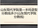 山东现代学院是一本吗录取分数线多少(山东现代学院分数线)