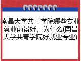 南昌大学共青学院哪些专业就业前景好，为什么(南昌大学共青学院好就业专业)
