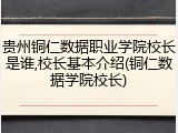 贵州铜仁数据职业学院校长是谁,校长基本介绍(铜仁数据学院校长)