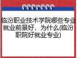 临汾职业技术学院哪些专业就业前景好，为什么(临汾职院好就业专业)
