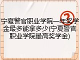 宁夏警官职业学院一年奖学金最多能拿多少(宁夏警官职业学院最高奖学金)